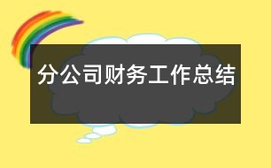 分公司財務工作總結(jié)