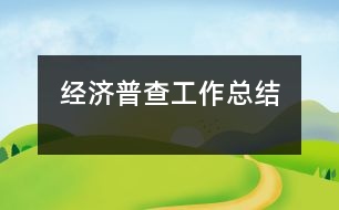 經(jīng)濟普查工作總結(jié)