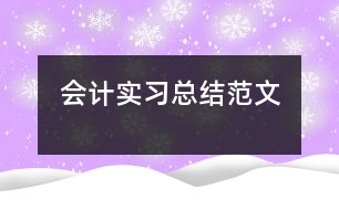會計實習(xí)總結(jié)范文