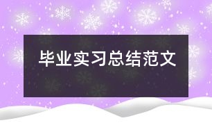 畢業(yè)實習(xí)總結(jié)范文