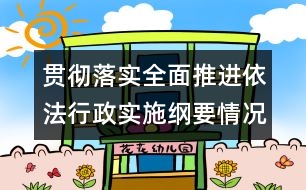 貫徹落實全面推進依法行政實施綱要情況報告