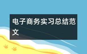 電子商務實習總結范文