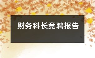 財務科長競聘報告