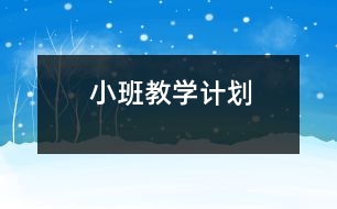 小班教學(xué)計(jì)劃