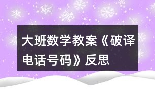 大班數(shù)學(xué)教案《破譯電話(huà)號(hào)碼》反思