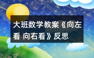 大班數學教案《向左看 向右看》反思