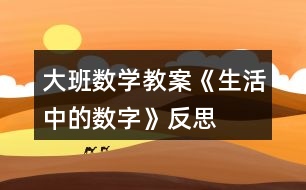 大班數(shù)學教案《生活中的數(shù)字》反思