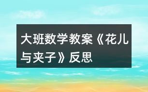 大班數學教案《花兒與夾子》反思