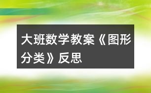 大班數(shù)學教案《圖形分類》反思