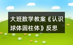 大班數(shù)學(xué)教案《認(rèn)識(shí)球體、圓柱體》反思
