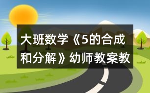 大班數(shù)學《5的合成和分解》幼師教案教學設(shè)計反思
