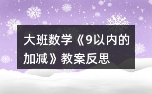 大班數(shù)學《9以內的加減》教案反思