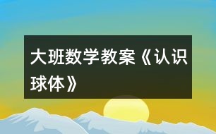 大班數(shù)學教案《認識球體》