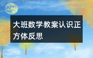 大班數(shù)學(xué)教案認識正方體反思