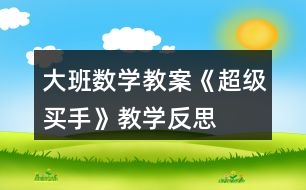 大班數(shù)學教案《超級買手》教學反思