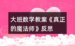 大班數(shù)學教案《真正的魔法師》反思