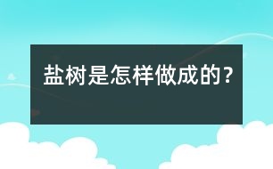 鹽樹是怎樣做成的？