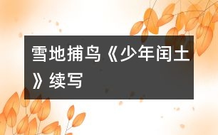 雪地捕鳥(niǎo)—《少年閏土》續(xù)寫