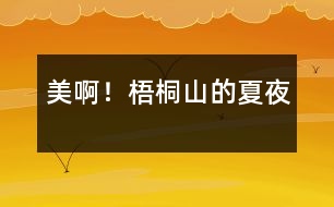 美??！梧桐山的夏夜