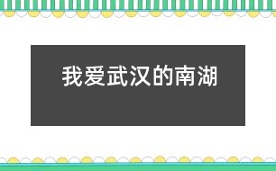 我愛(ài)武漢的南湖
