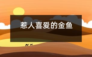 惹人喜愛(ài)的金魚(yú)