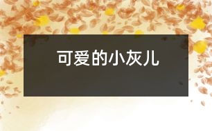 可愛(ài)的小灰兒