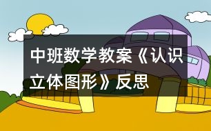 中班數學教案《認識立體圖形》反思
