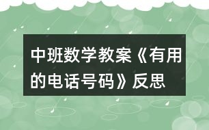 中班數(shù)學教案《有用的電話號碼》反思