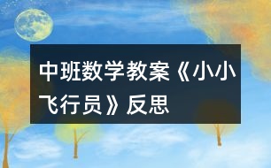 中班數(shù)學教案《小小飛行員》反思