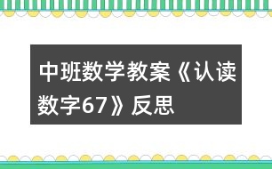 中班數(shù)學教案《認讀數(shù)字6、7》反思