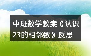 中班數(shù)學(xué)教案《認識2、3的相鄰數(shù)》反思