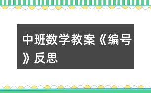 中班數(shù)學教案《編號》反思