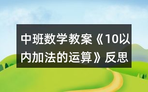 中班數(shù)學教案《10以內(nèi)加法的運算》反思