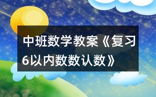 中班數(shù)學教案《復習6以內數(shù)數(shù)、認數(shù)》反思