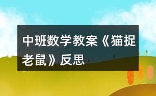 中班數學教案《貓捉老鼠》反思