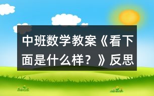 中班數(shù)學(xué)教案《看下面是什么樣？》反思