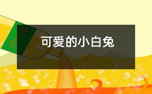 可愛(ài)的小白兔