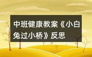 中班健康教案《小白兔過(guò)小橋》反思