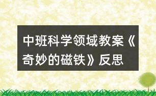 中班科學領域教案《奇妙的磁鐵》反思