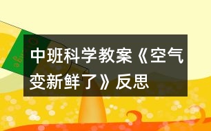 中班科學教案《空氣變新鮮了》反思