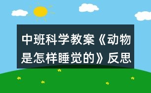 中班科學(xué)教案《動(dòng)物是怎樣睡覺的》反思
