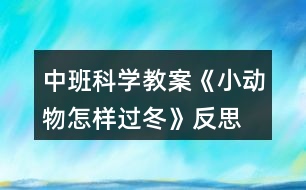 中班科學(xué)教案《小動(dòng)物怎樣過冬》反思
