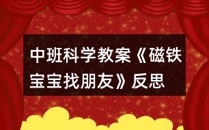 中班科學教案《磁鐵寶寶找朋友》反思