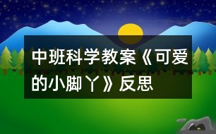 中班科學(xué)教案《可愛(ài)的小腳丫》反思