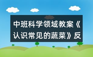 中班科學領域教案《認識常見的蔬菜》反思