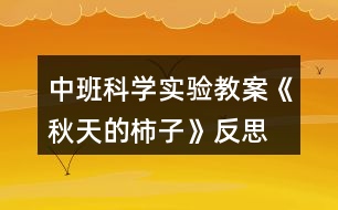 中班科學(xué)實(shí)驗教案《秋天的柿子》反思