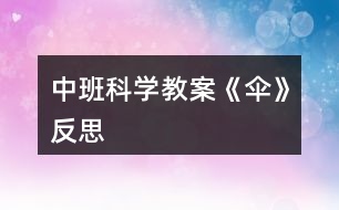 中班科學教案《傘》反思