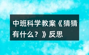 中班科學(xué)教案《猜猜有什么？》反思