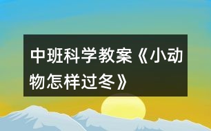 中班科學(xué)教案《小動物怎樣過冬》