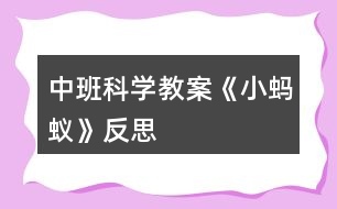 中班科學教案《小螞蟻》反思